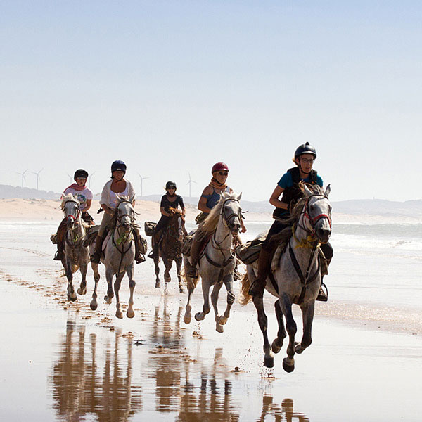 Ausritte zu Pferd in Essaouira