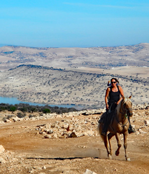 Horse trail Essaouira Morocco