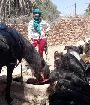 5-day horse trail in Morocco Essaouira