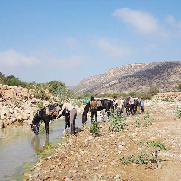 Wanderritt zu Pferd Agadir Marokko