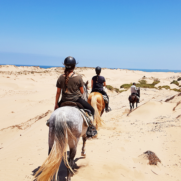 Wanderritt zu Pferd Essaouira Marokko, 2 Tage