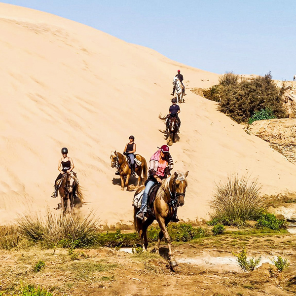 Wanderritt zu Pferd Essaouira Marokko, 3 Tage