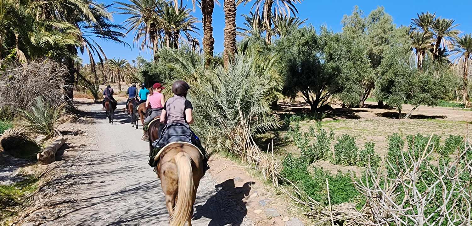 jazda konna w ouarzazate