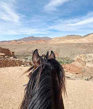 ouarzazate cheval kasbahs