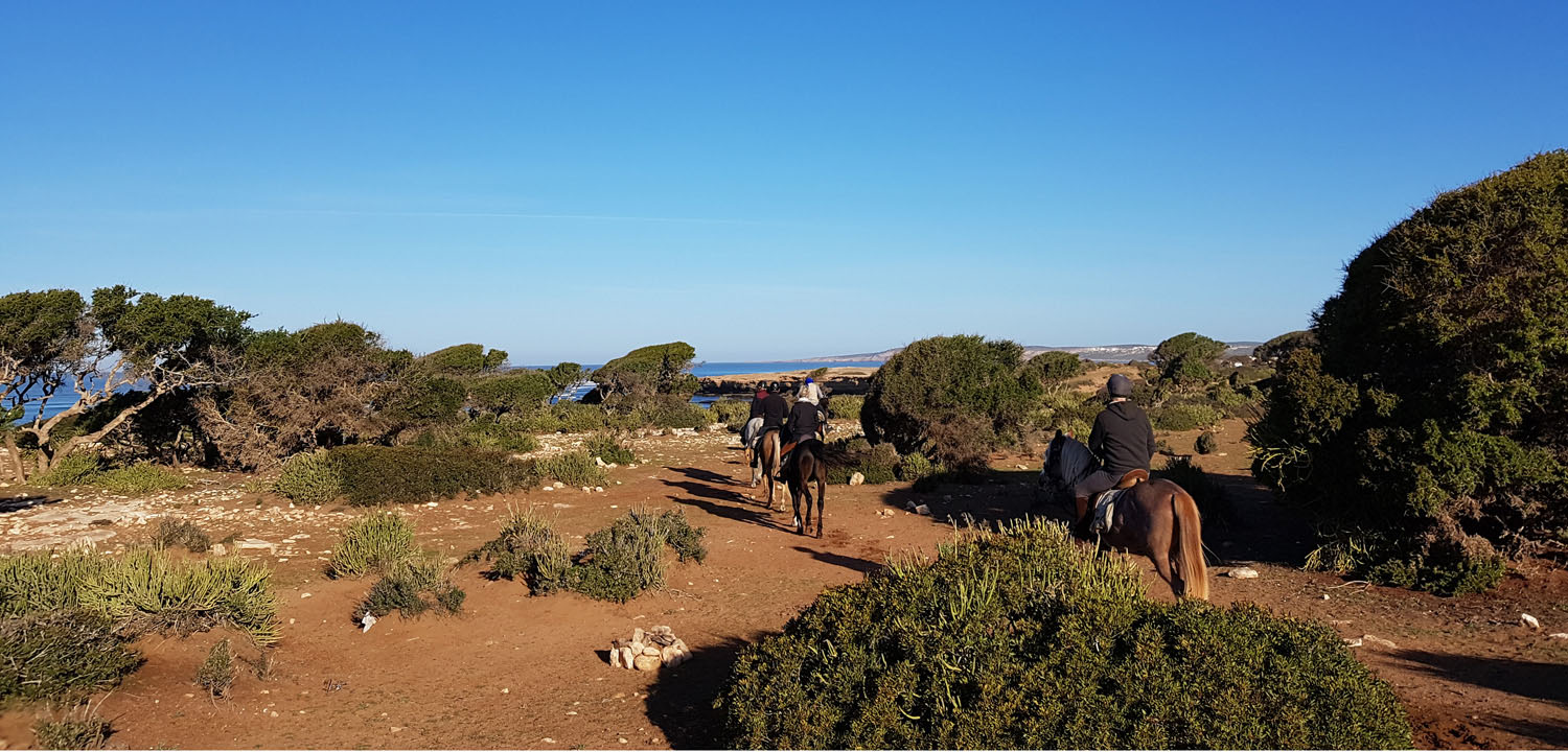 Pferdereittour Essaouira Marokko
