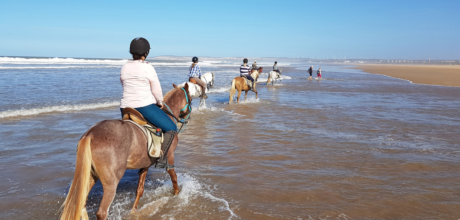 Wanderritt zu Pferd Essaouira Marokko