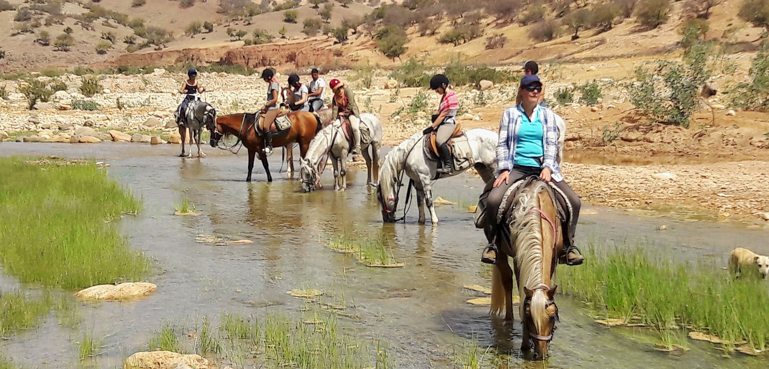 Wanderritt zu Pferd Essaouira 6 Tage