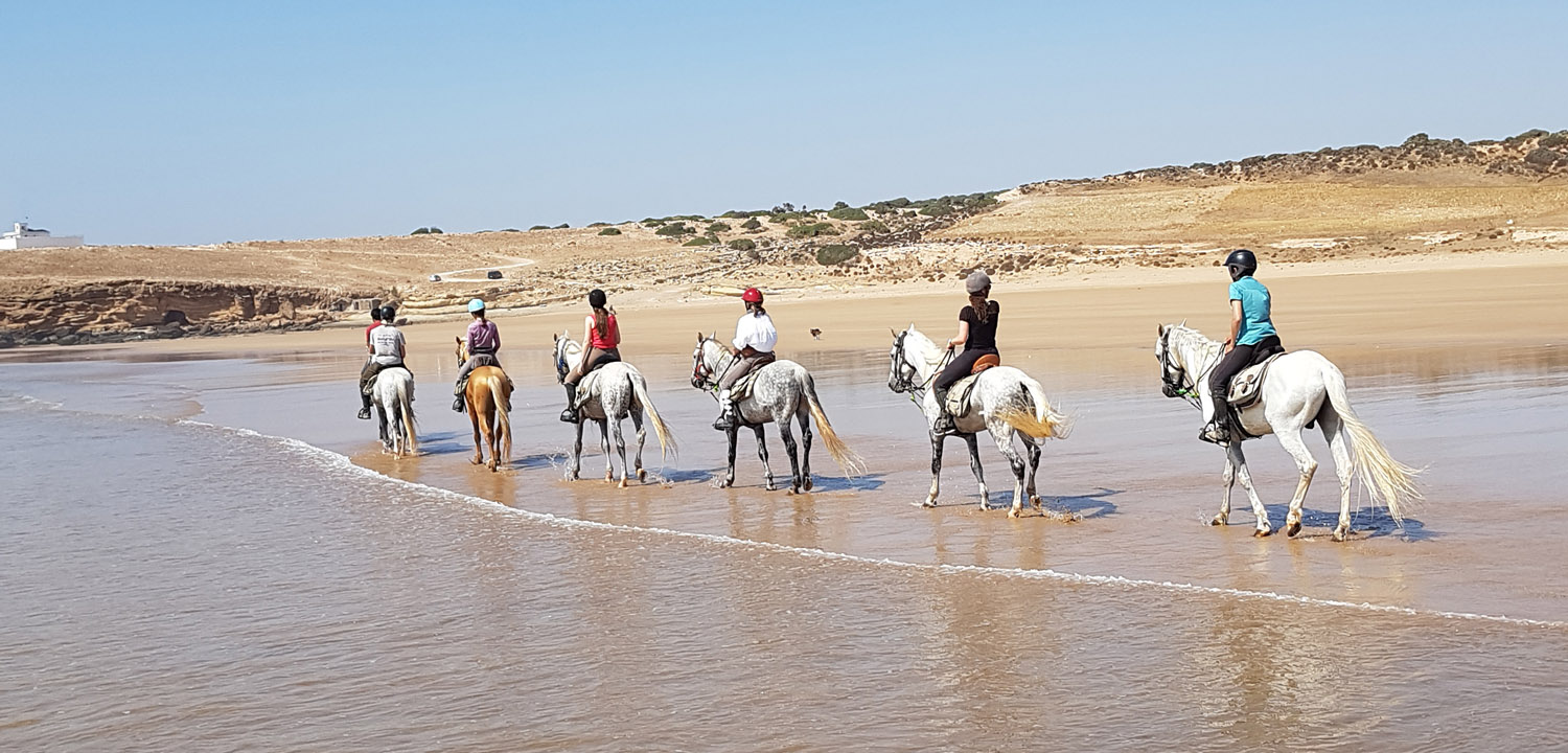 Wanderritt zu Pferd Essaouira Marokko 6 Tage