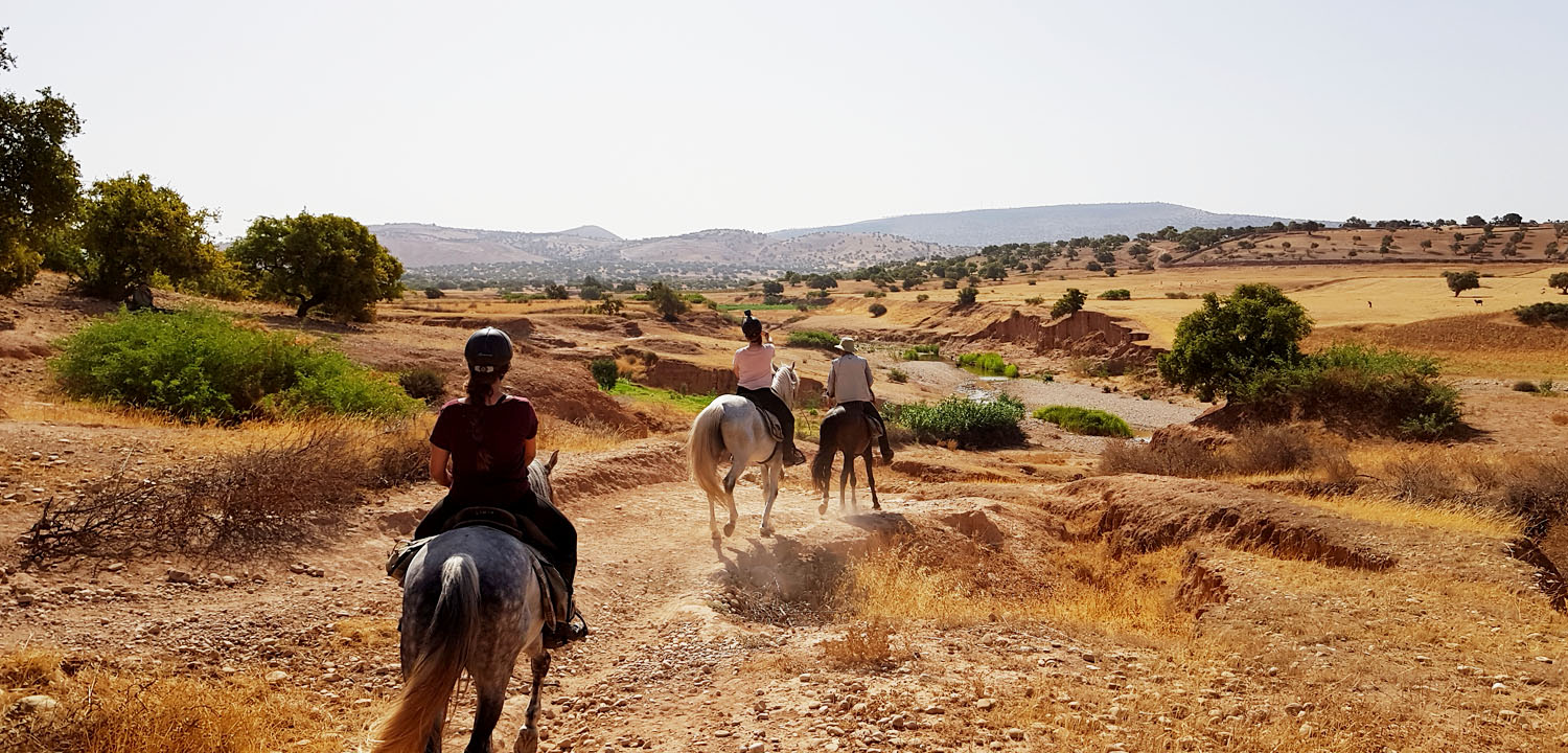 Pferdereittour Essaouira 6 Tage