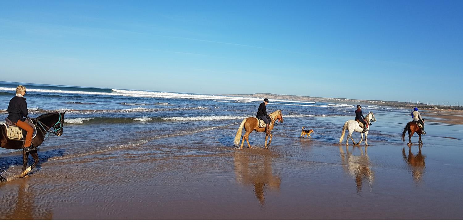 Randonnée équestre de 3 jours à Essaouira