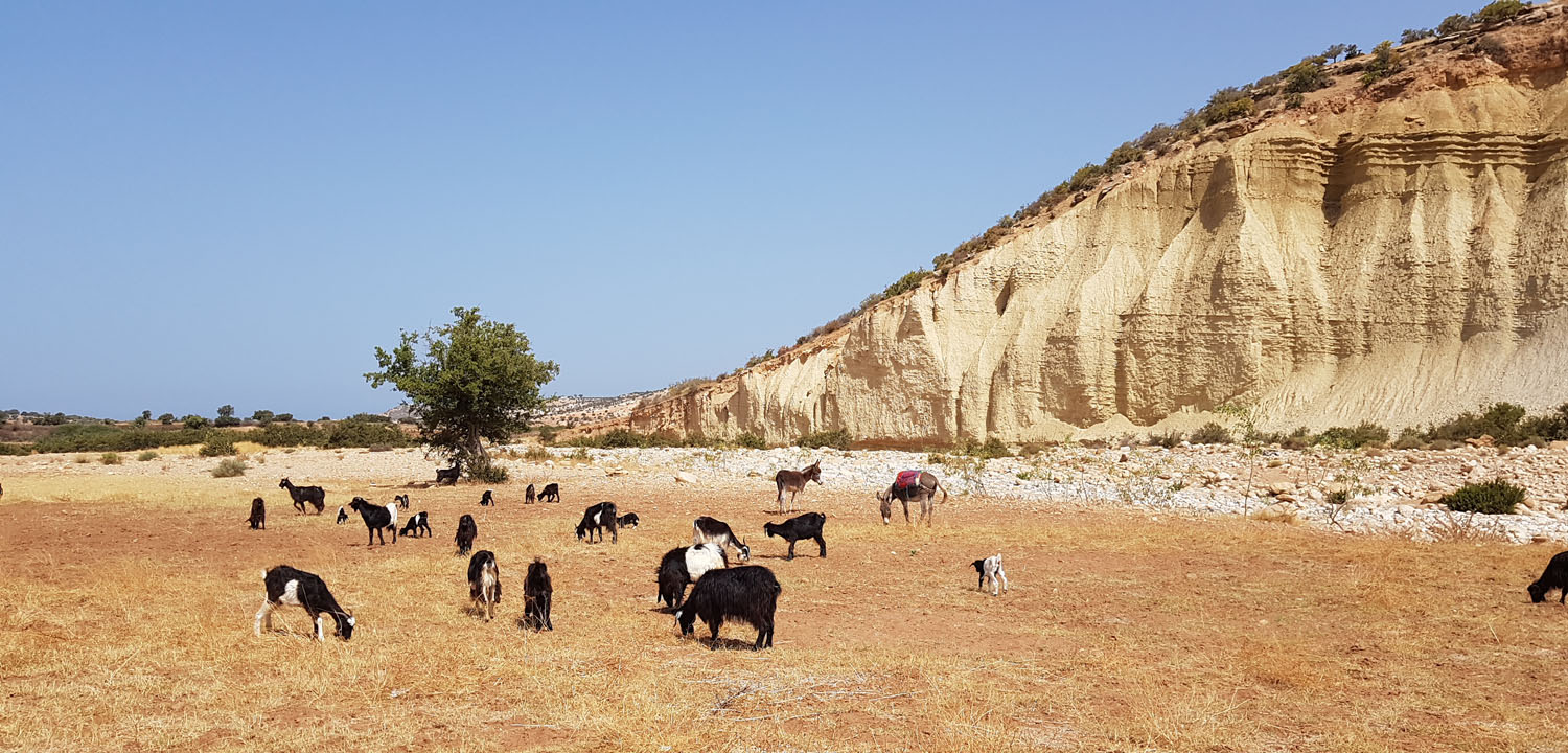 Randonnée équestre de 3 jours à Essaouira