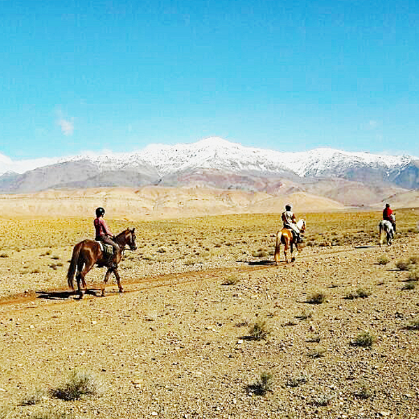 randonnée cheval ouarzazate