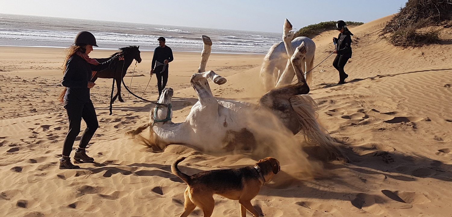 Wędrówka konna Essaouira