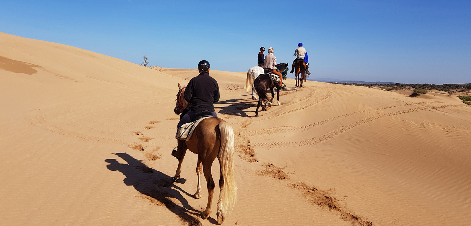 Przejażdżka konna Essaouira Maroko