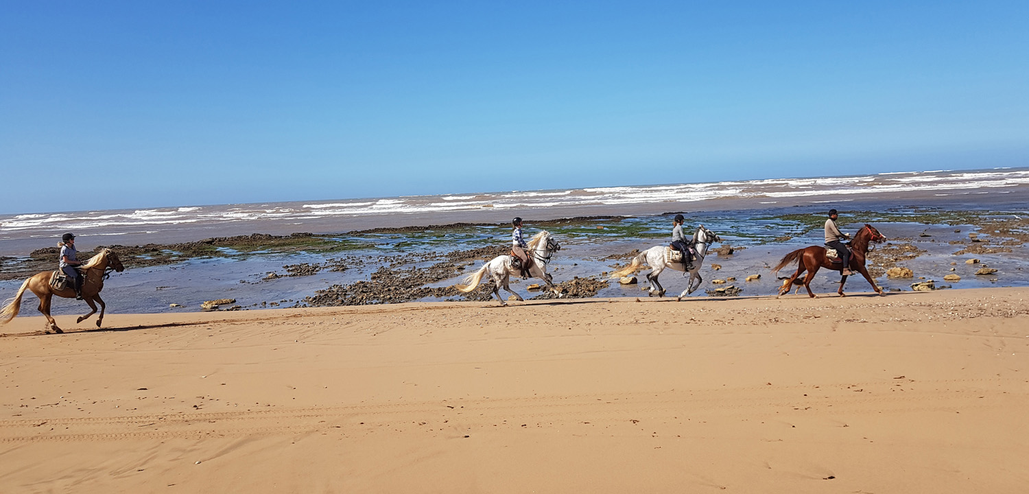 Wędrówka konna Essaouira Maroko
