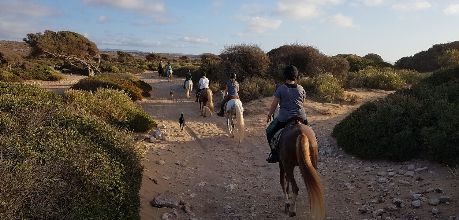 Randonnée cheval Essaouira