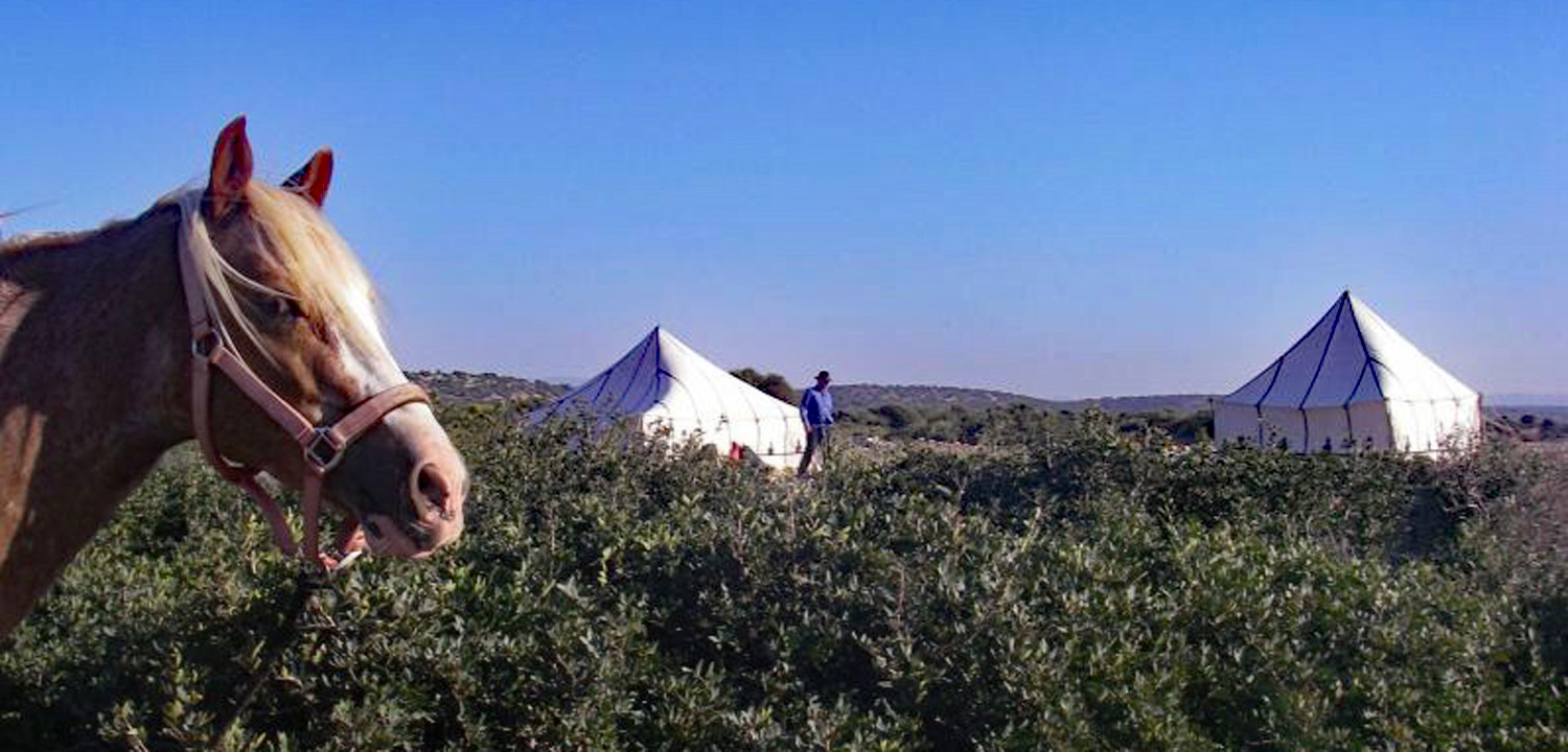 6-dniowa wędrówka konna w essaouira