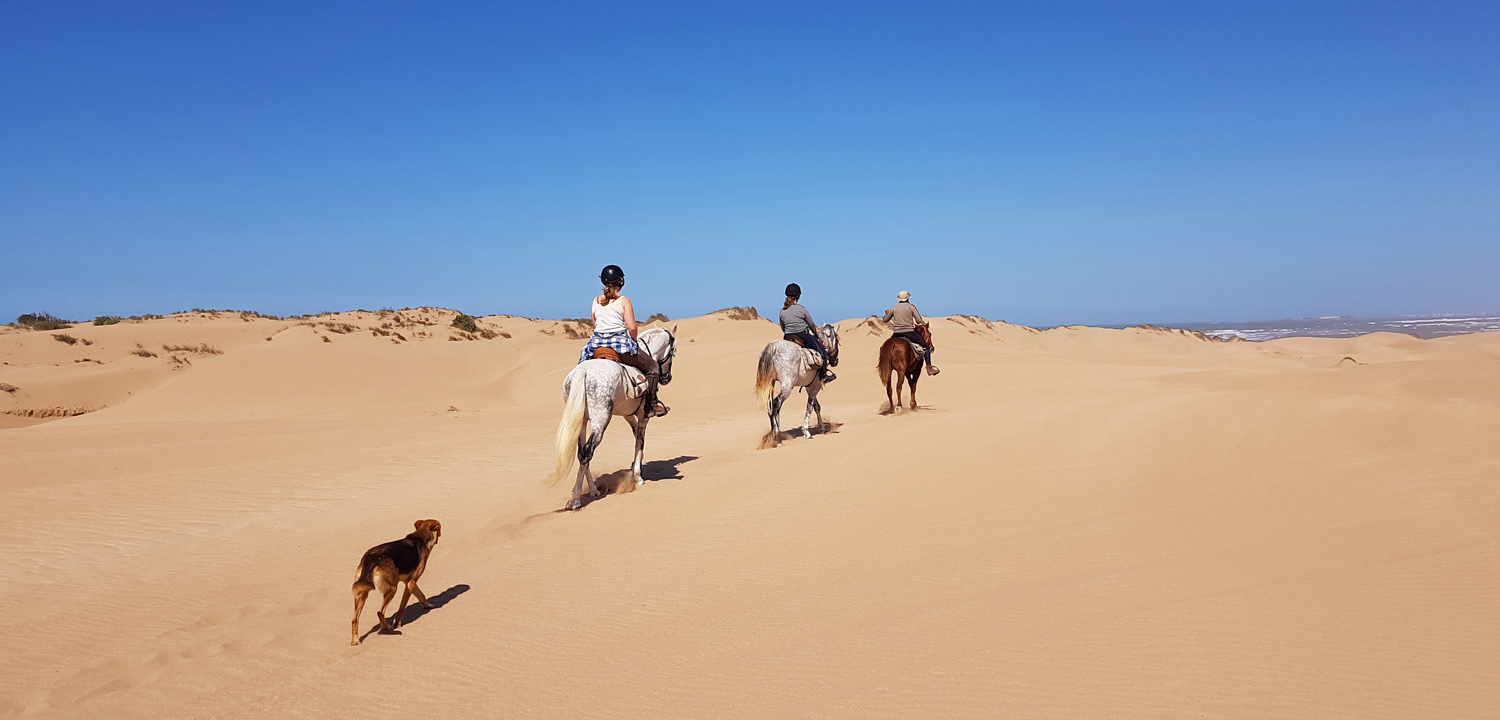 Wędrówka konna Essaouira