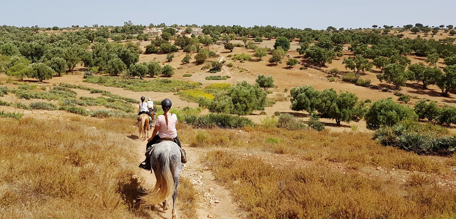 6-dniowa wędrówka konna w essaouira