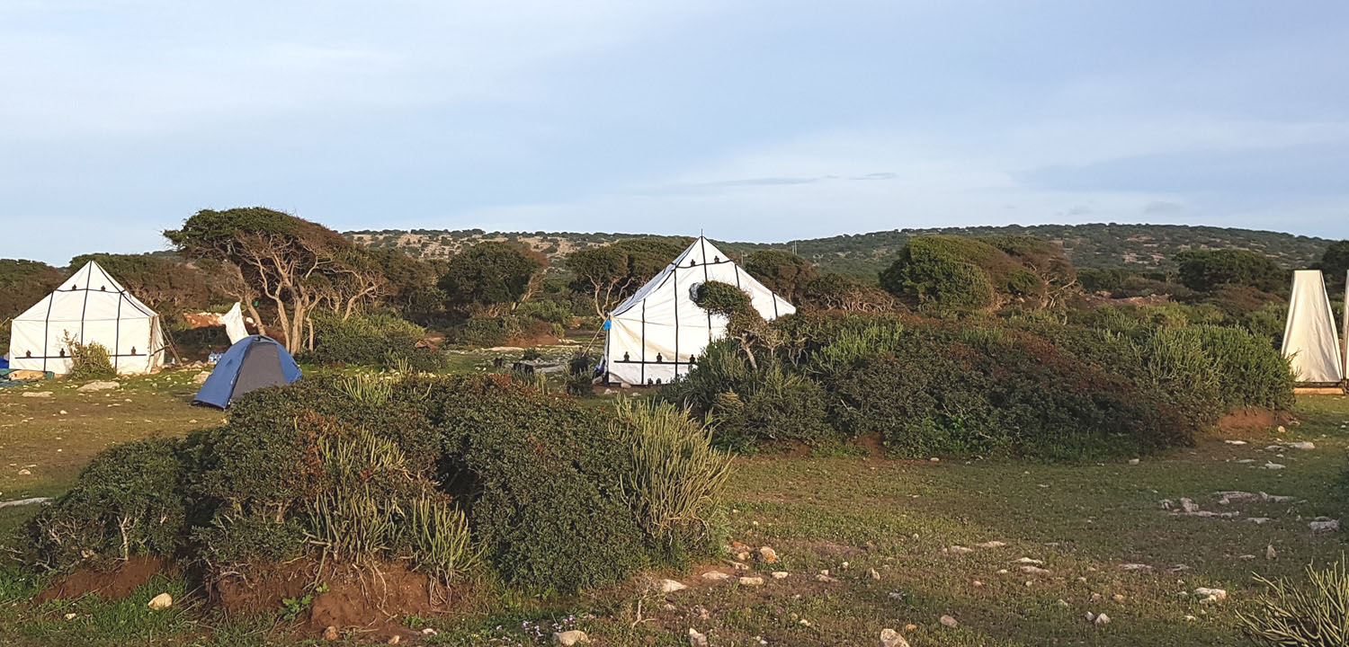 Wędrówka konna Essaouira