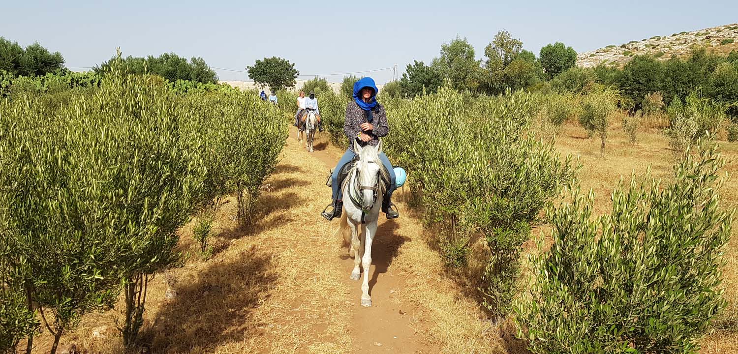 5-dniowa wędrówka konna w Essaouira