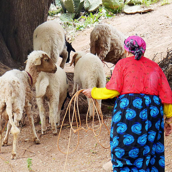 Hiking in Morocco