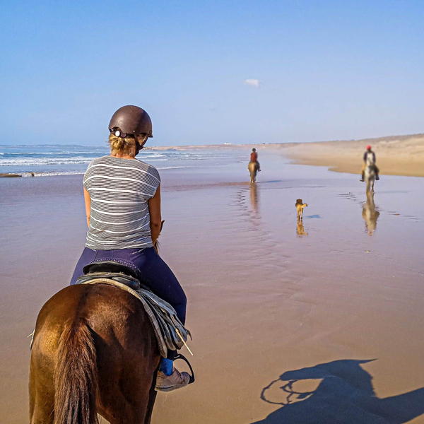 reittour pferd essaouira