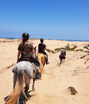 Wanderritt zu Pferd Essaouira Marokko, 2 Tage