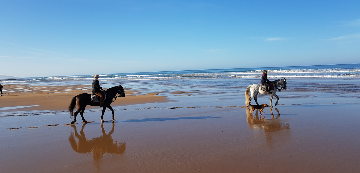 Pferdereittour Essaouira 5 Tage