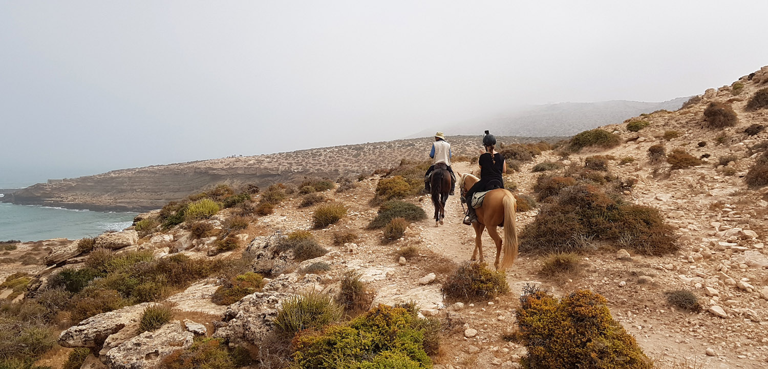 Wanderritt zu Pferd Essaouira Marokko 4 Tage