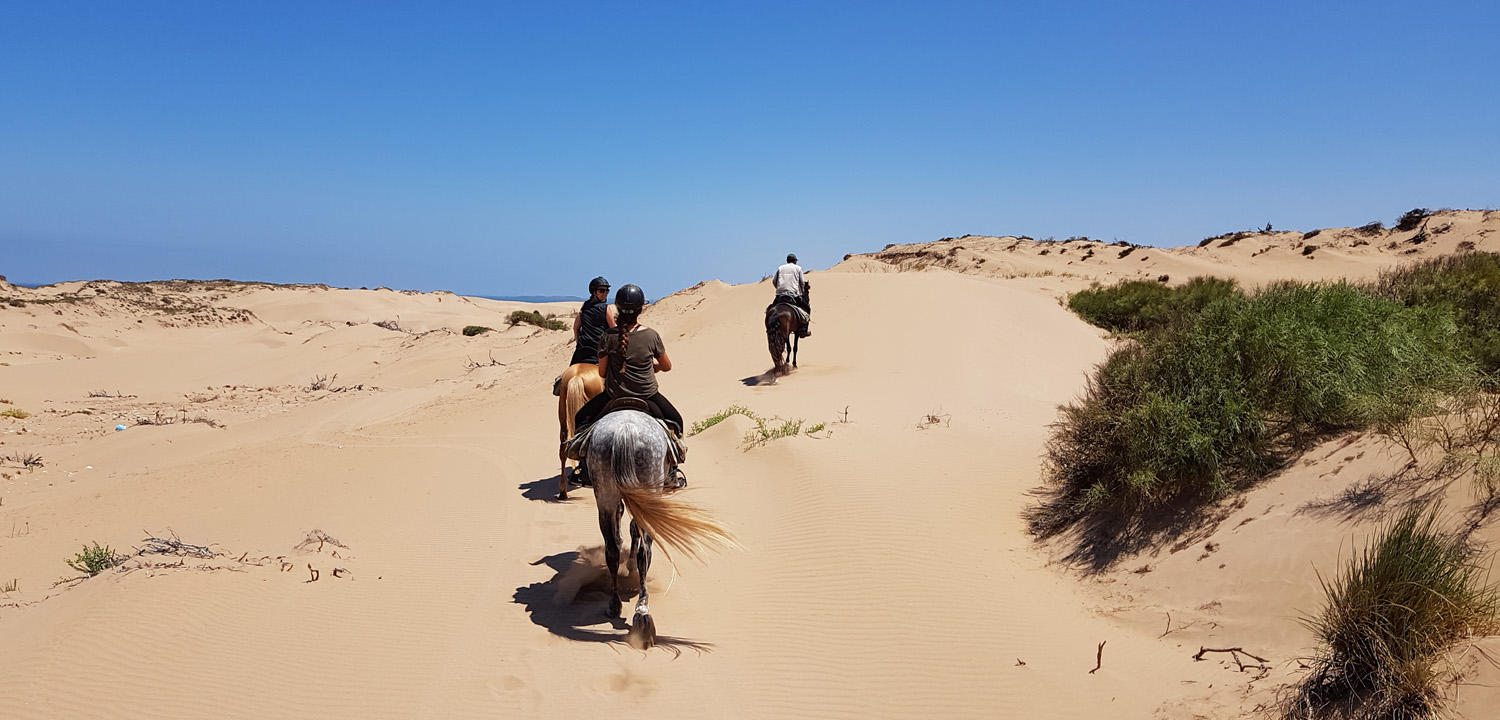 Wanderritt zu Pferd Essaouira 4 Tage