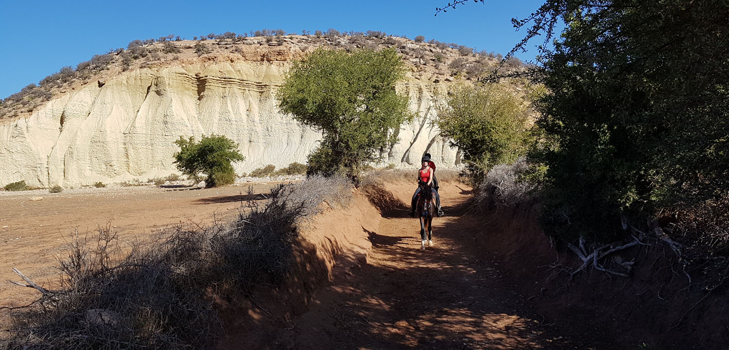 Wanderritt zu Pferd Essaouira 4 Tage