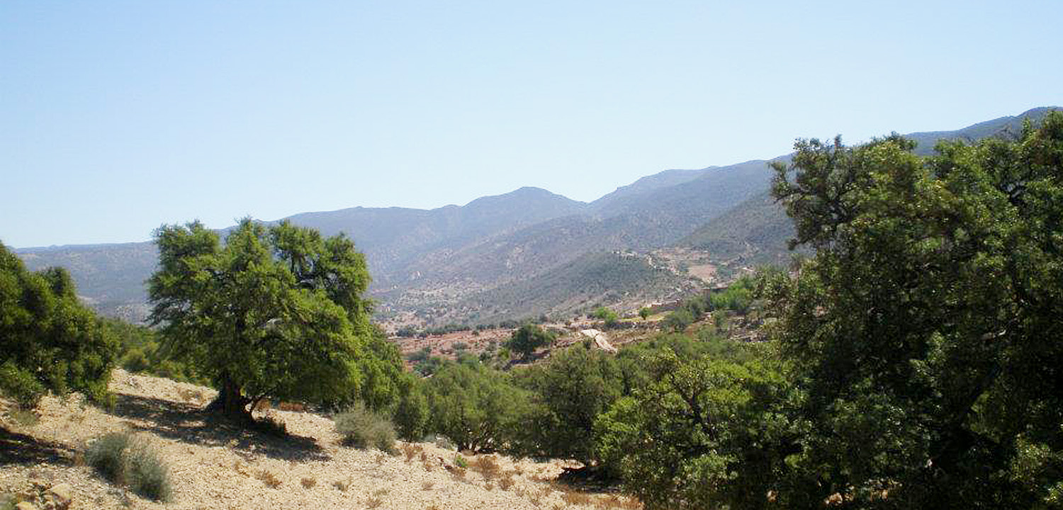 Excursión a caballo Agadir Marruecos