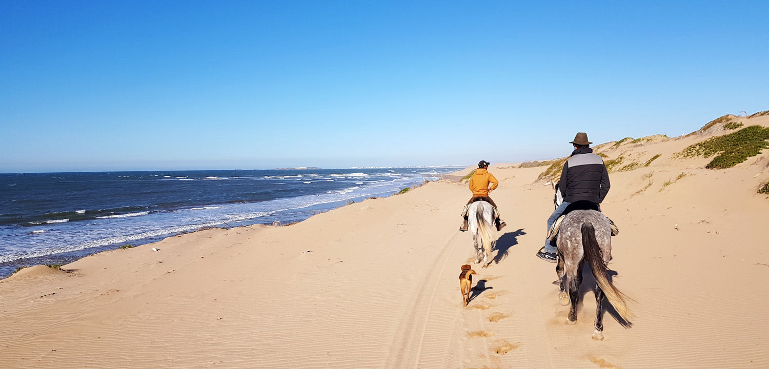 Excursiones a caballo Agadir Marruecos