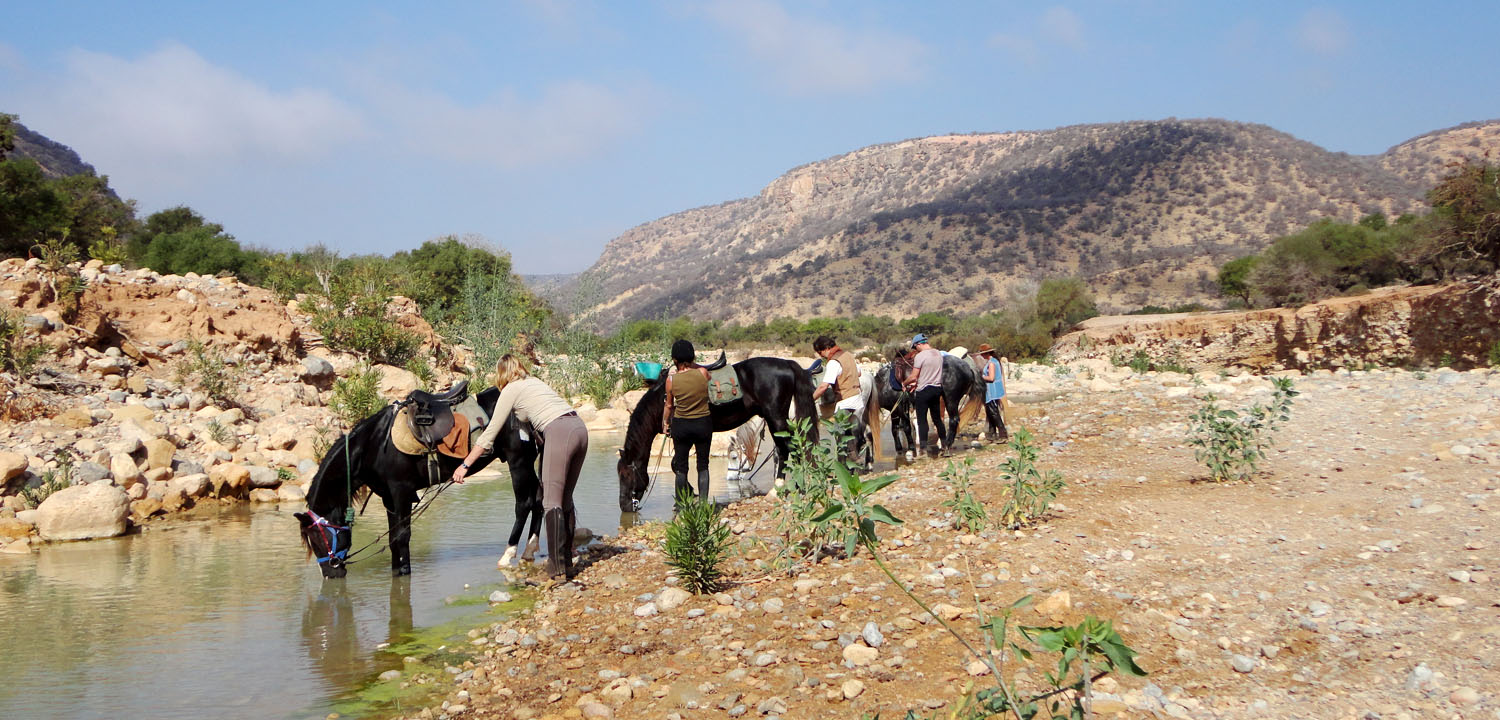 Excusión a caballo Agadir Esauira