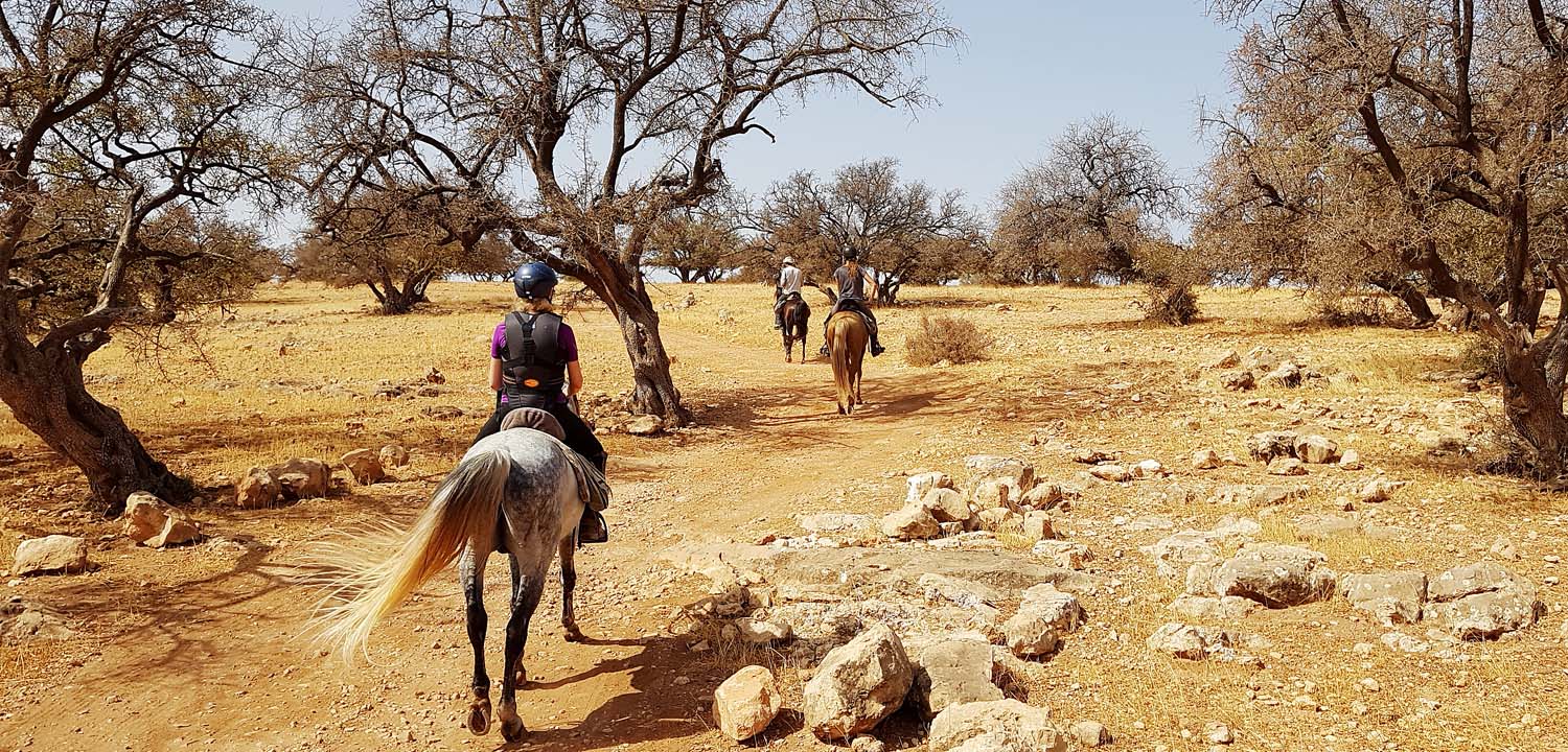 cabalgata a caballo Esauira 5 días