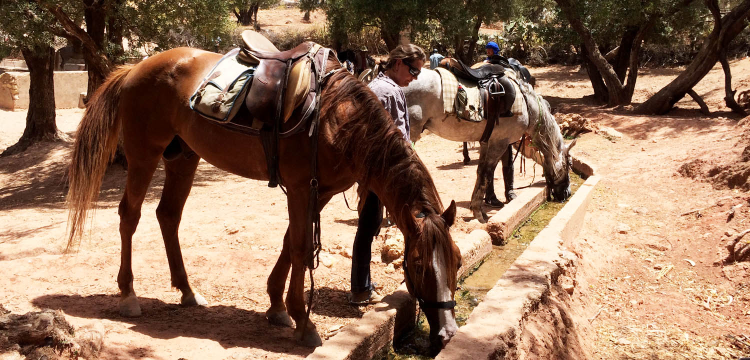 ruta caballo Esauira 6 días