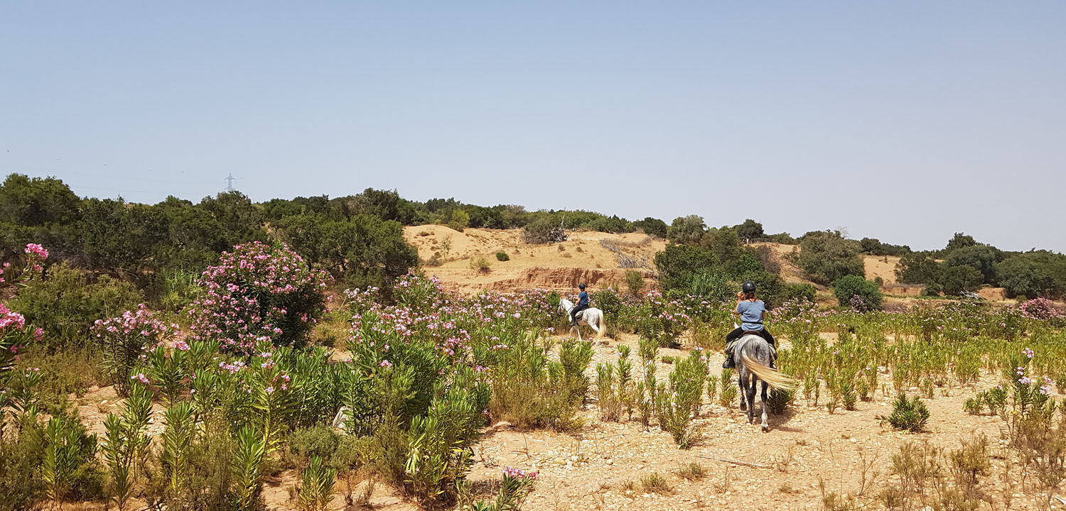 cabalgata caballo Marruecos de 6 días