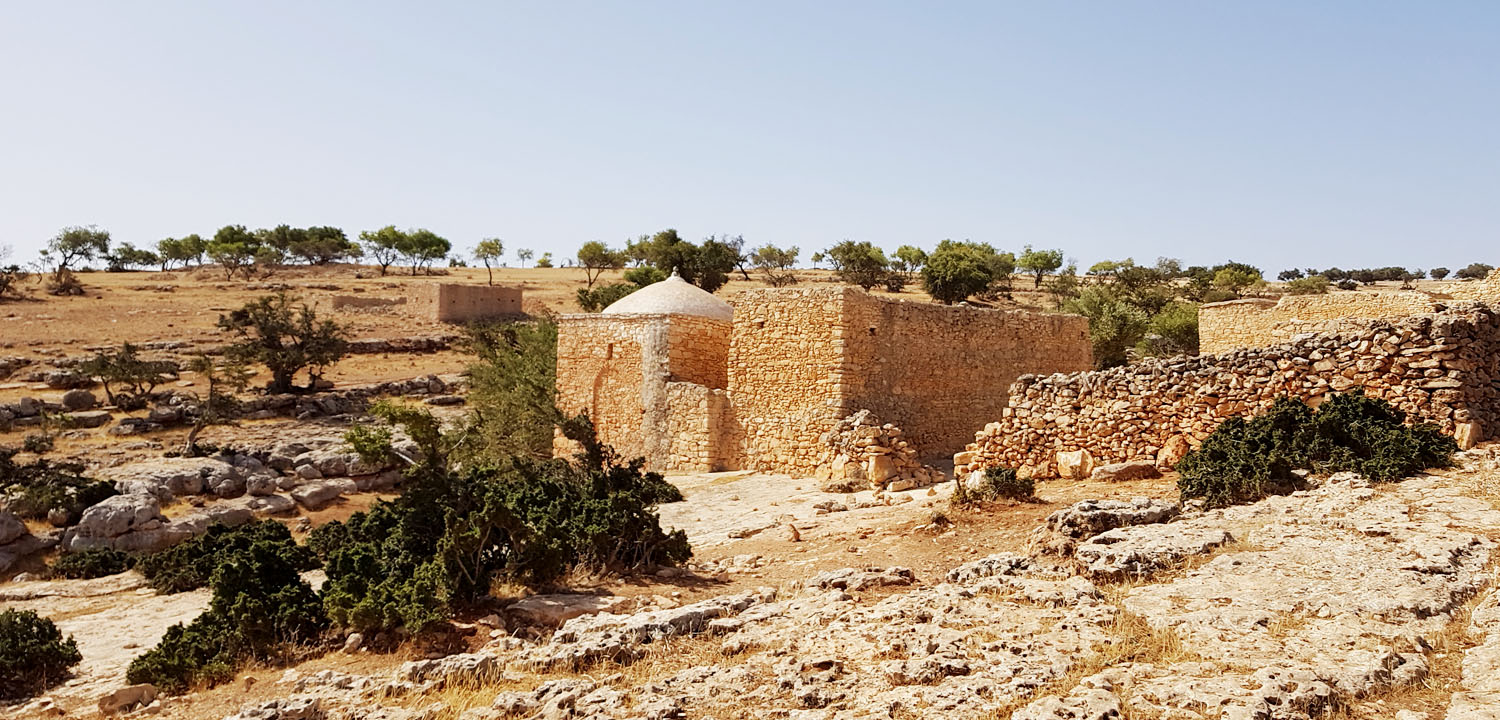 Excursiones a caballo Esauira Marruecos