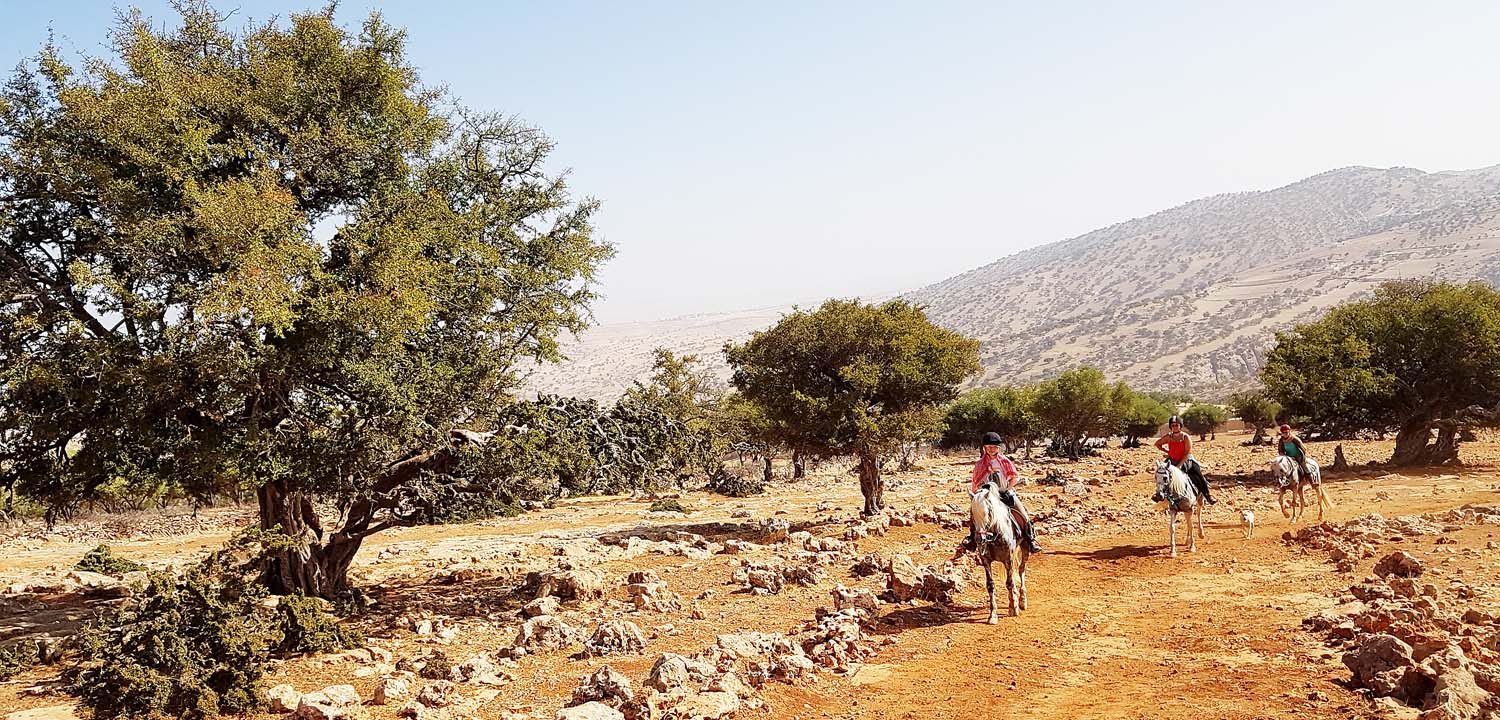 ruta a caballo en Marruecos de 6 días