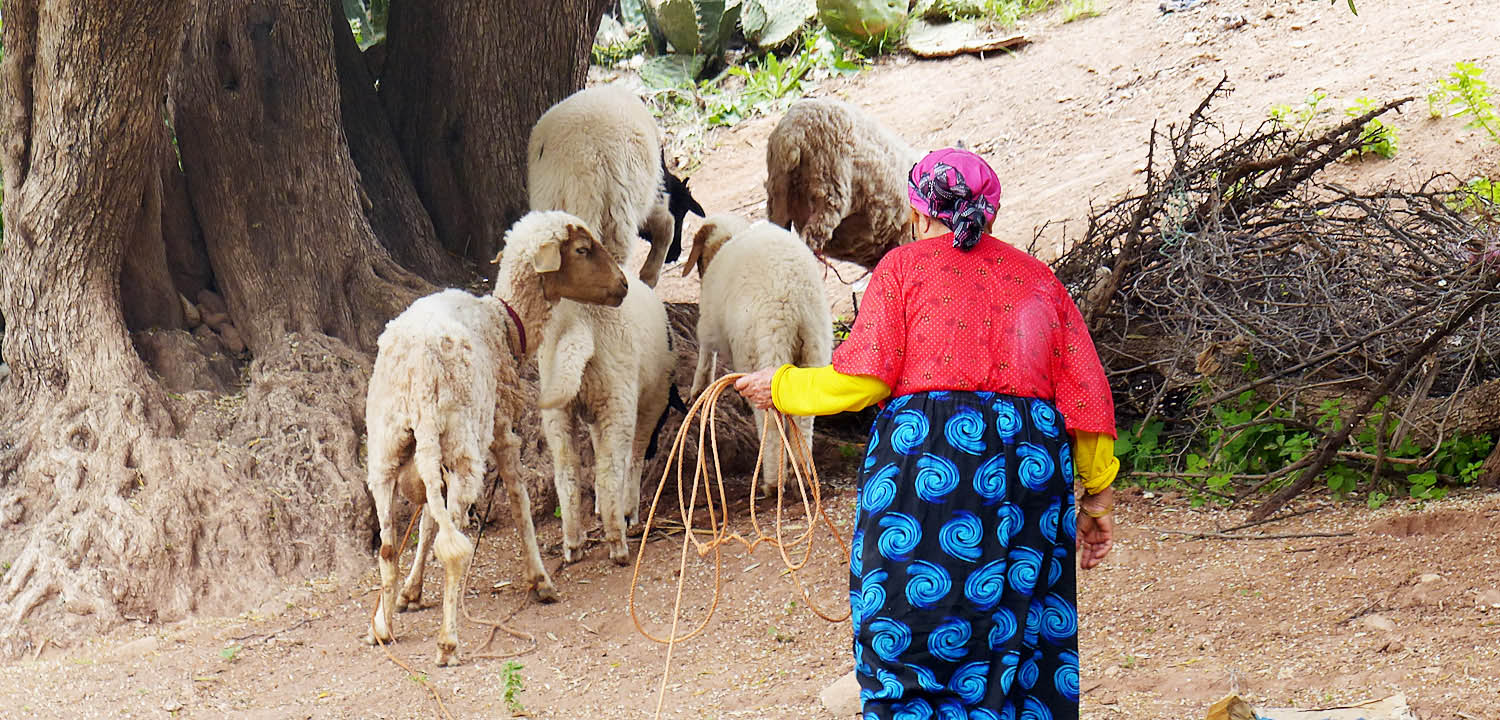 Hiking trails in Morocco