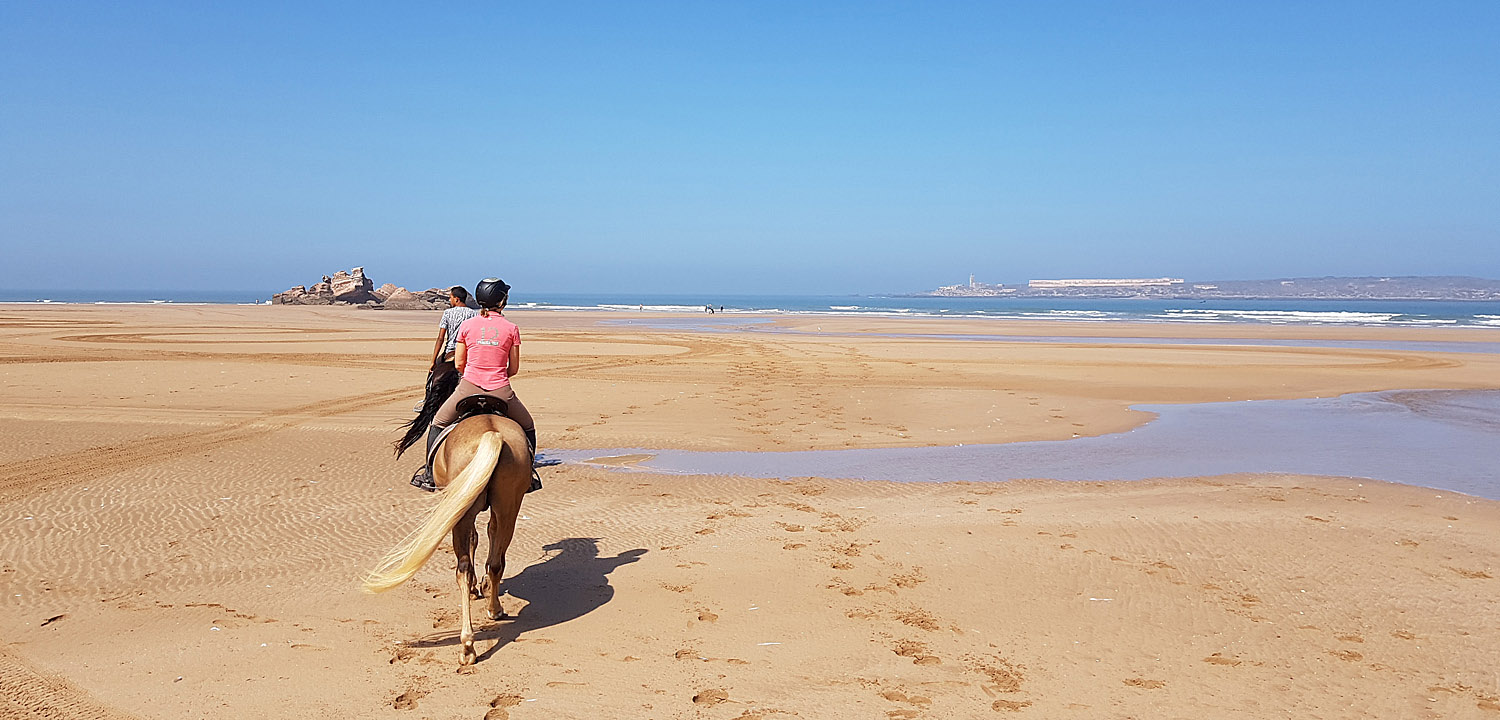 Horseback Riding