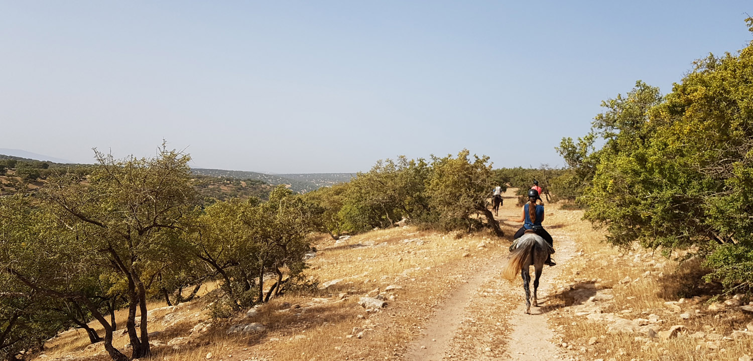 Horse trail Essaouira 3 days