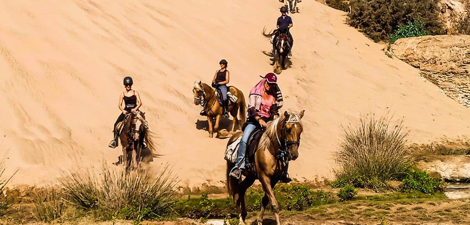 Horse riding holiday Essaouira Morocco 3 days