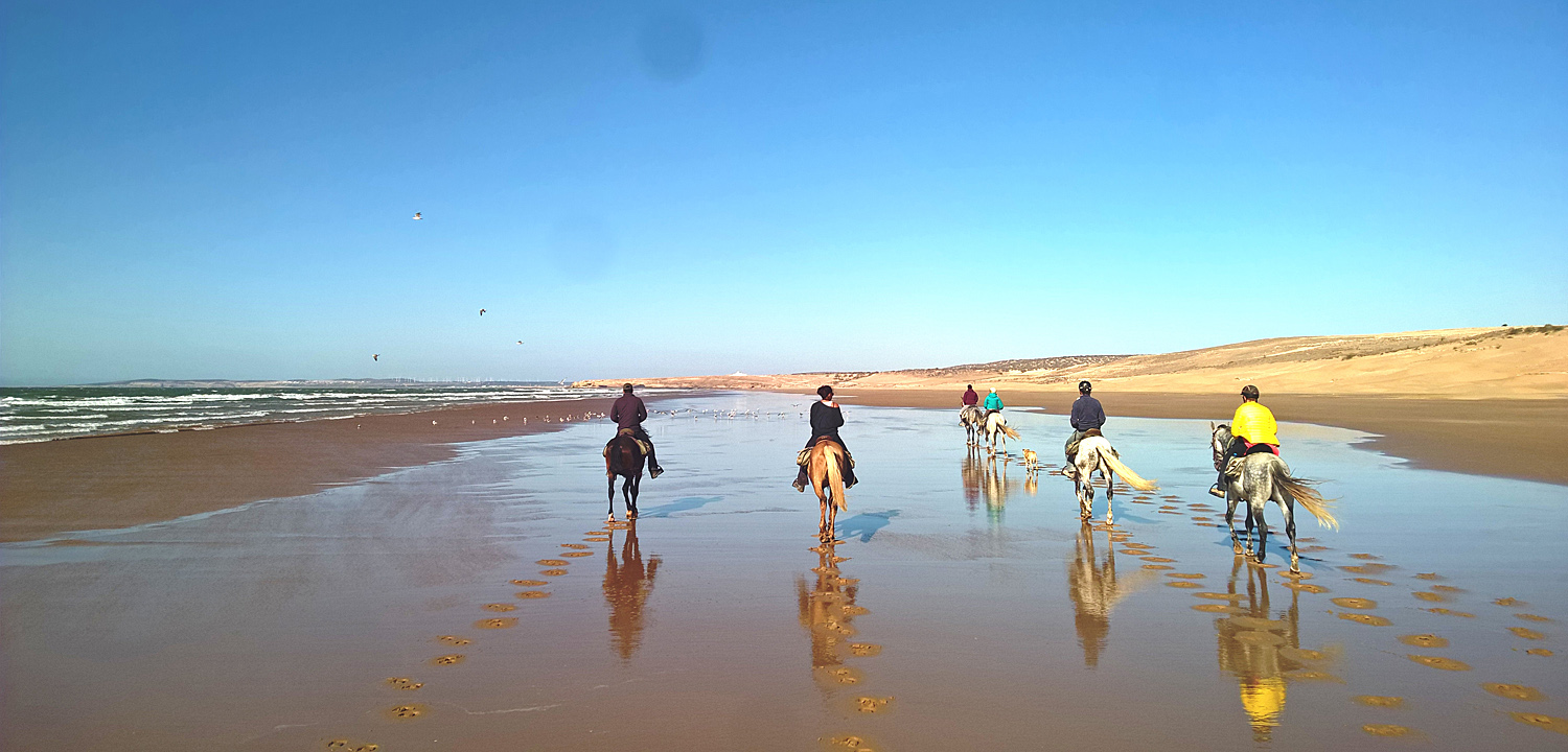 Horse riding holidays Essaouira 5 days
