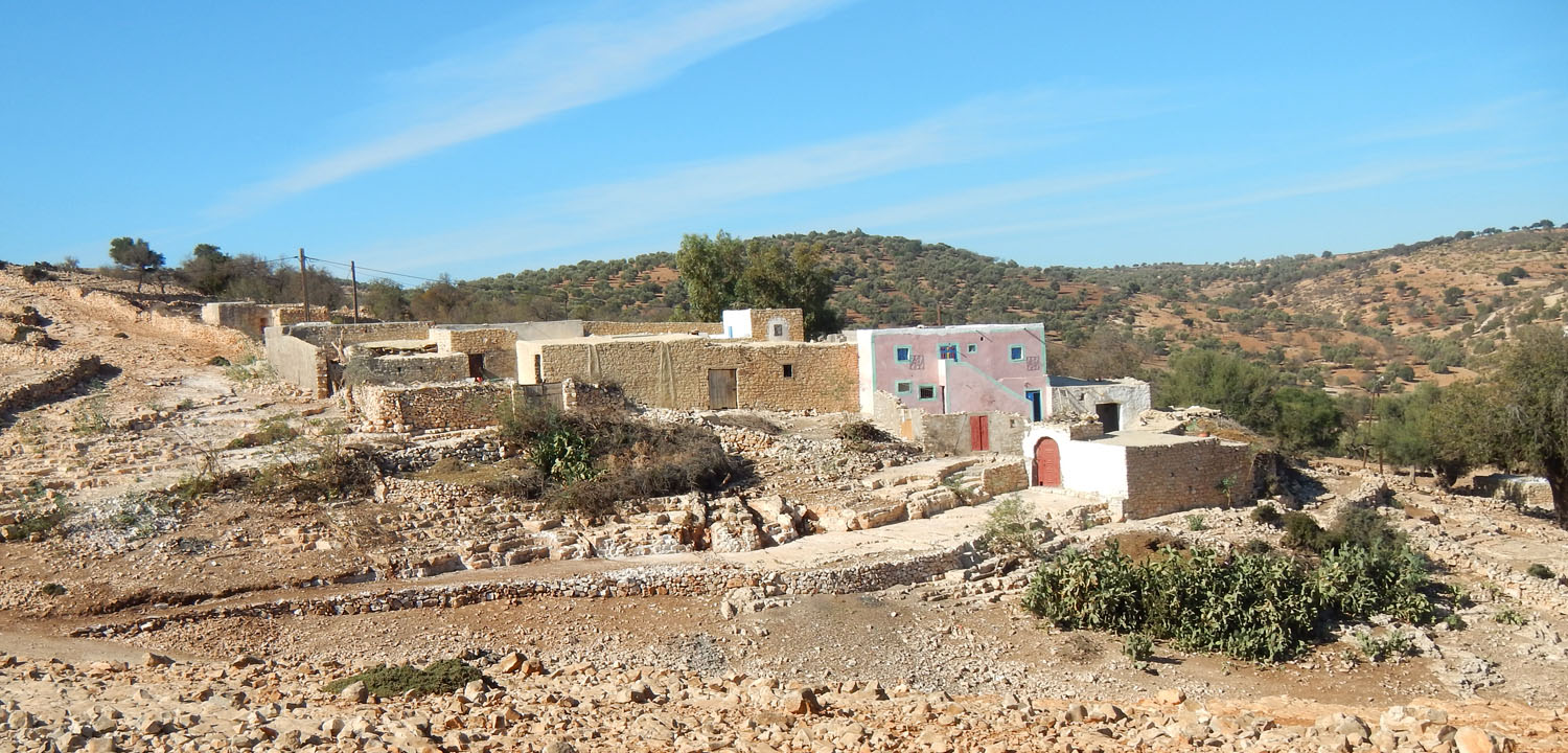 Horse trail Essaouira 5 days