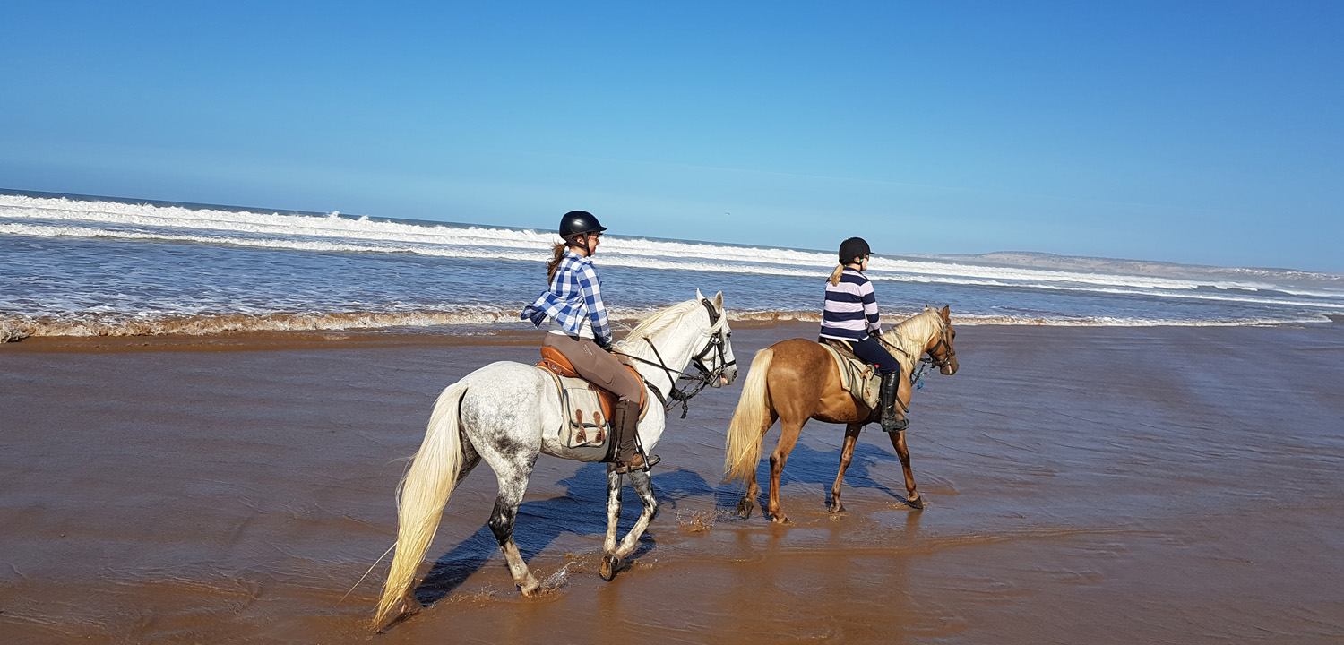 Horse riding holiday Essaouira Morocco 5 days