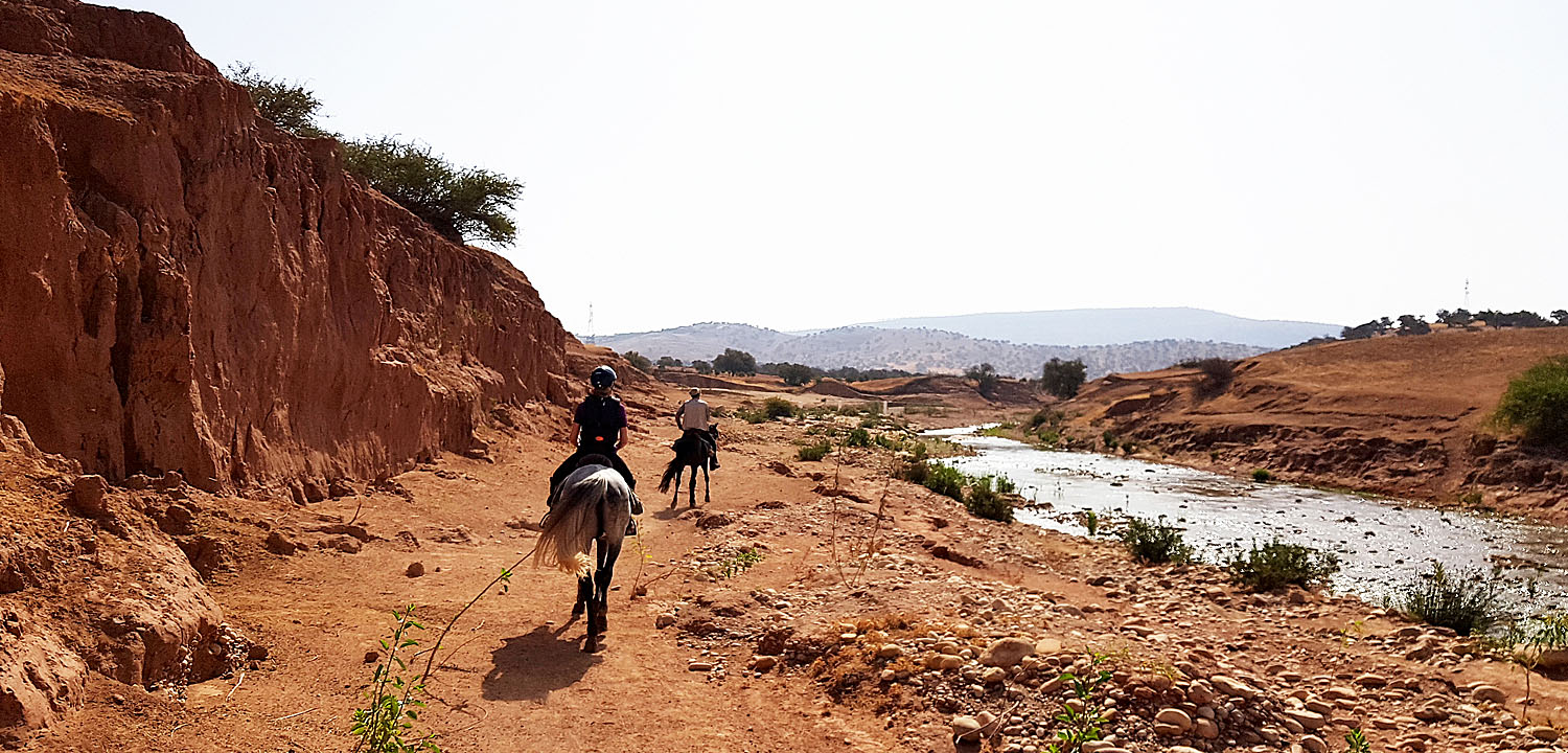 Horse riding holidays Morocco 5 days
