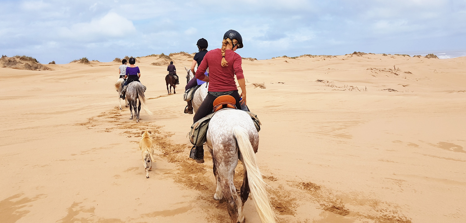 Horse trail Morocco 5 days