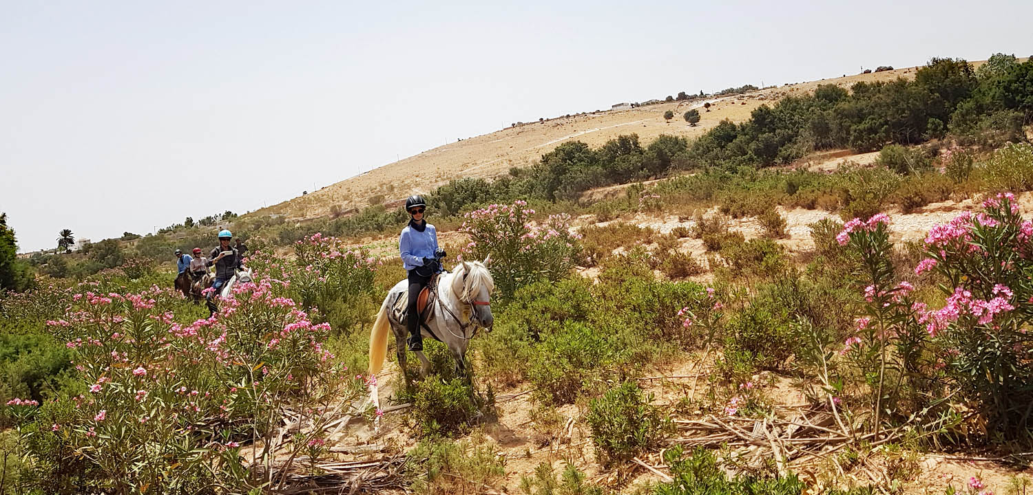 Horse trail Essaouira 5 days